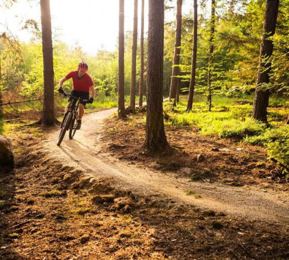 Caversham Woods Lidgetton Dış mekan fotoğraf